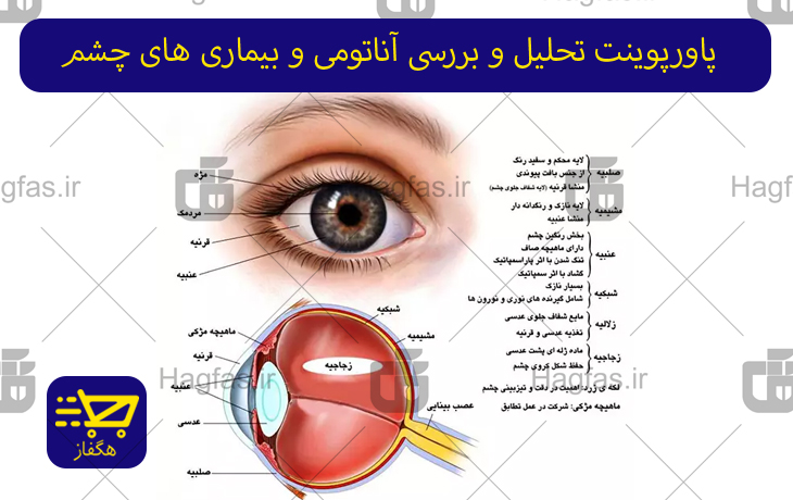 پاورپوینت تحلیل و بررسی آناتومی و بیماری های چشم